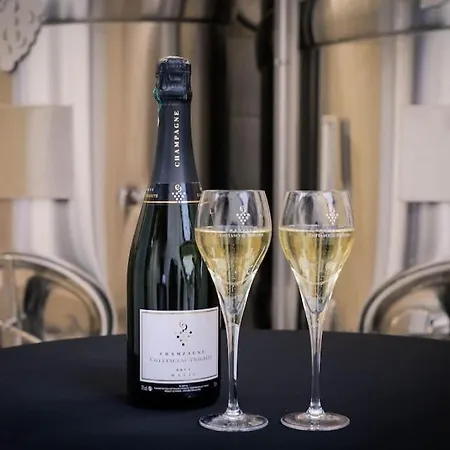 Escale En Champagne بيت للعطل Proverville