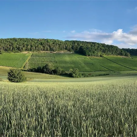 Escale En Champagne بيت للعطل *