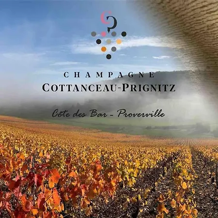 Escale En Champagne بيت للعطل